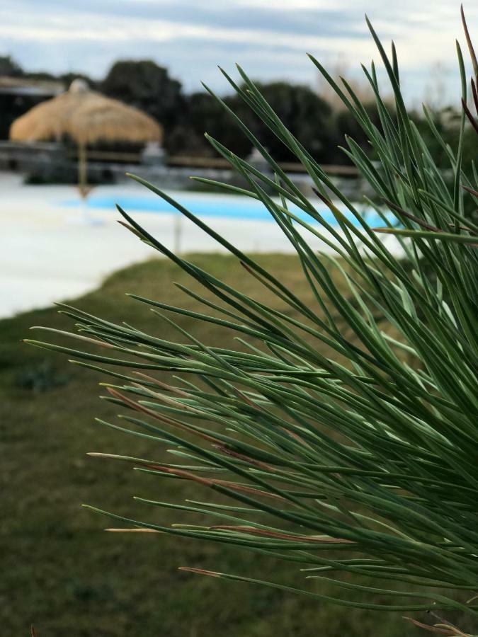 Villa Elisabeth Plaka  Ngoại thất bức ảnh
